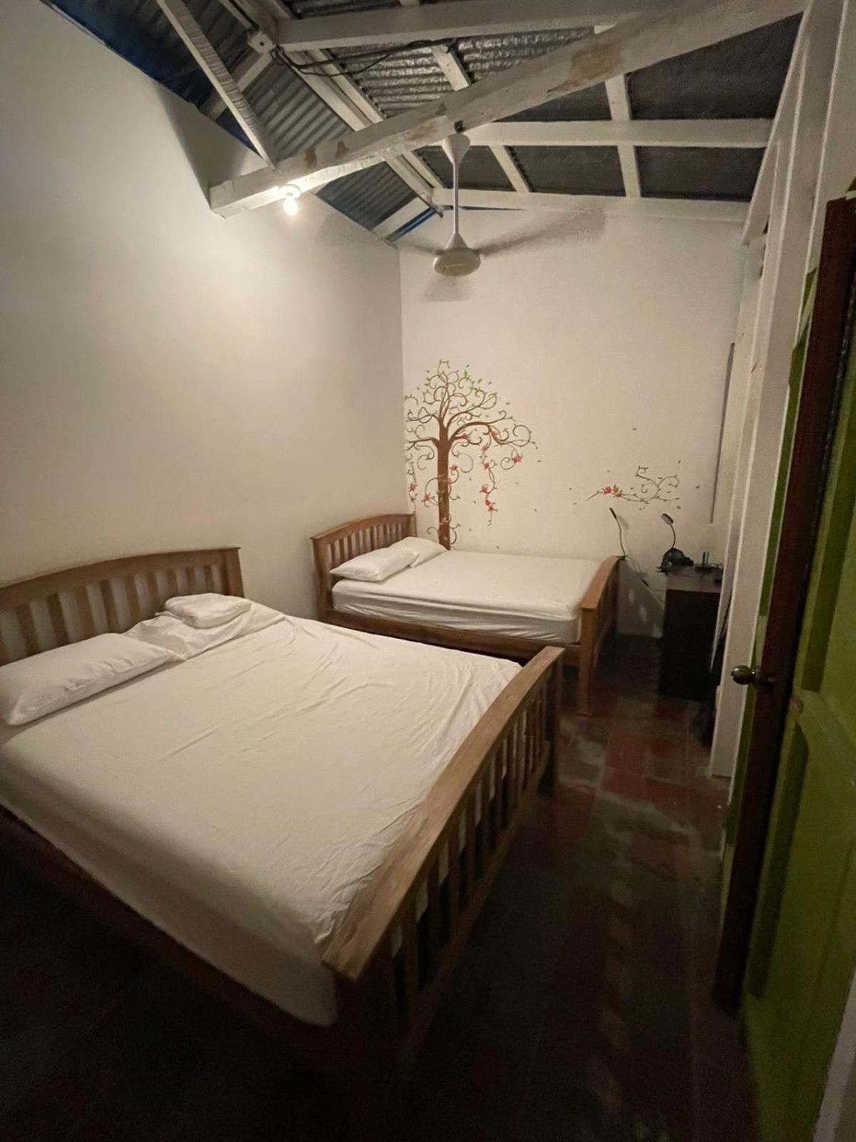 Mango Cafe And Hostel Сан-Хуан-дель-Сур Екстер'єр фото